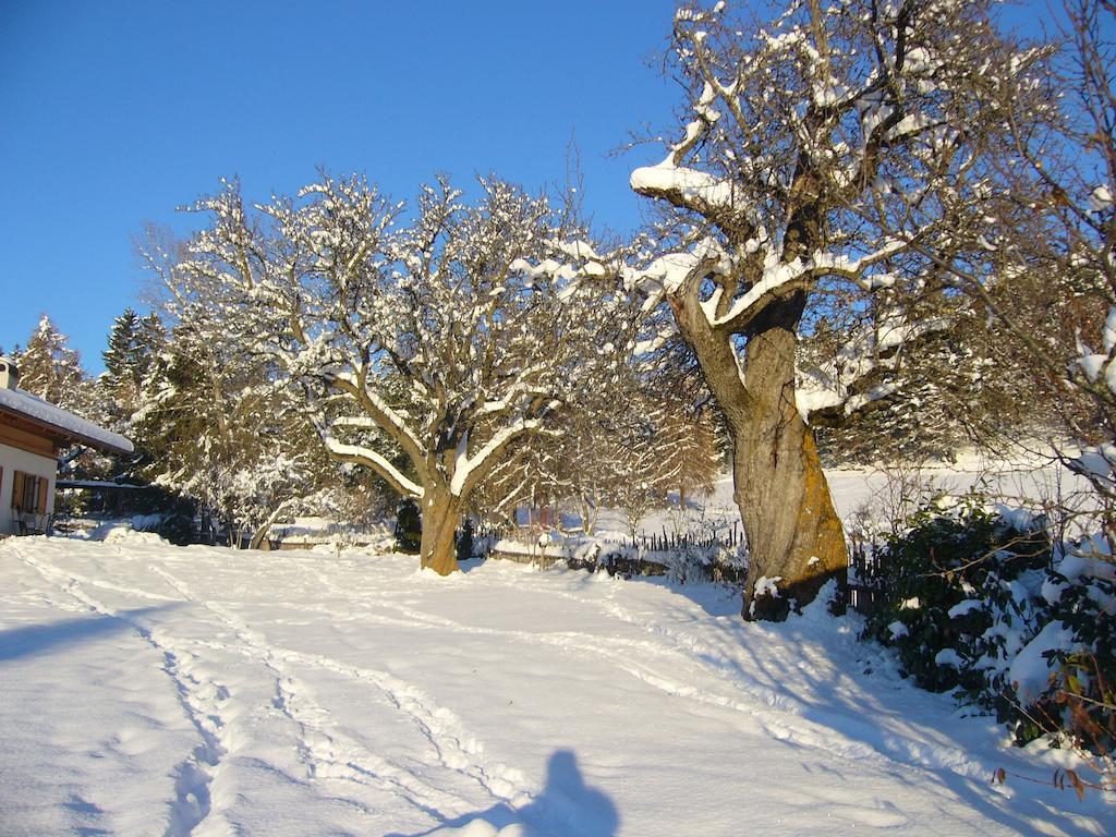 Gastreinhof Meltina Εξωτερικό φωτογραφία